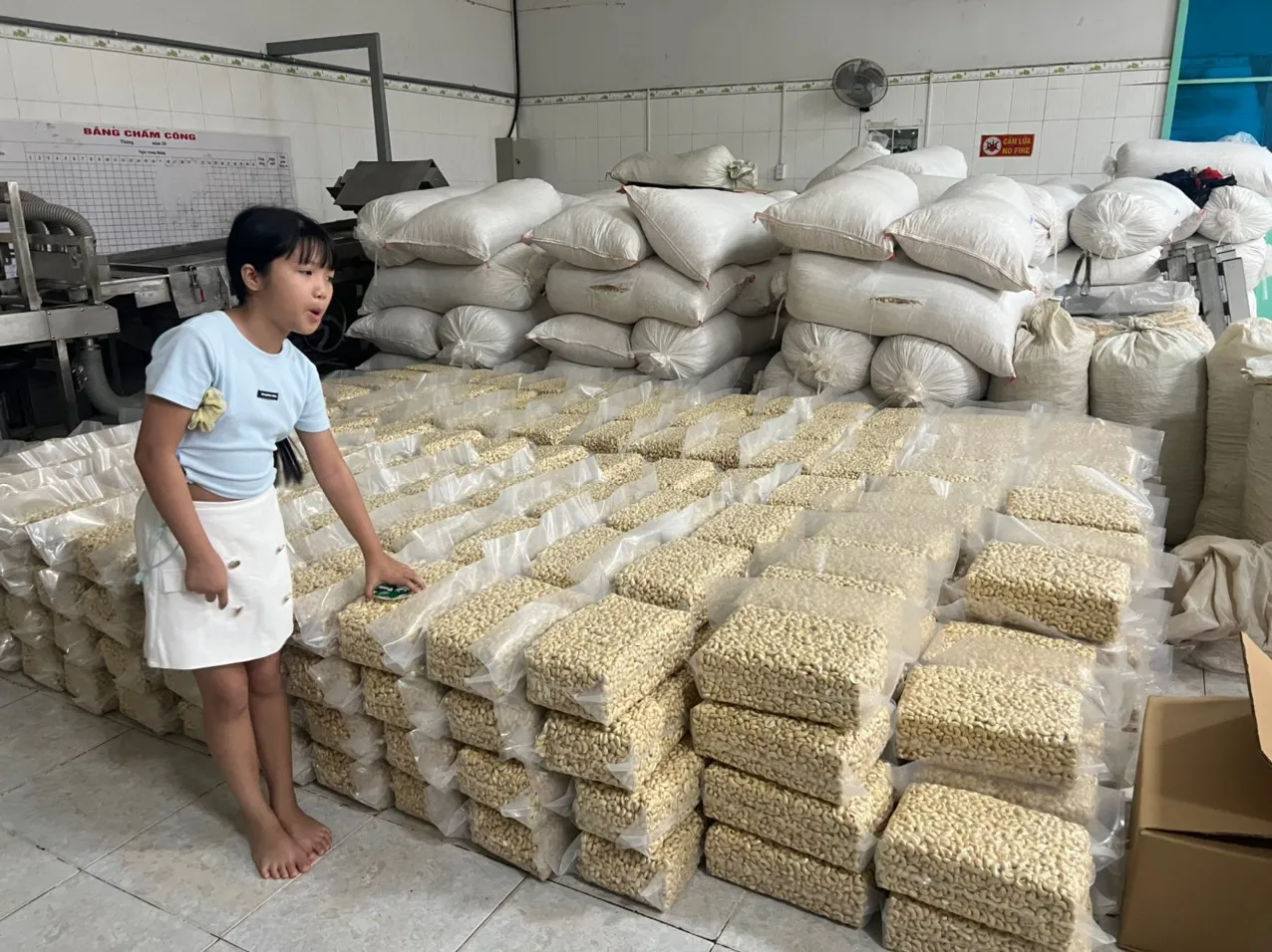 3 Tons Of W320 Cashew With 1st Quality - Packed 5 KG / Bag - Kimmy Farm Vietnam