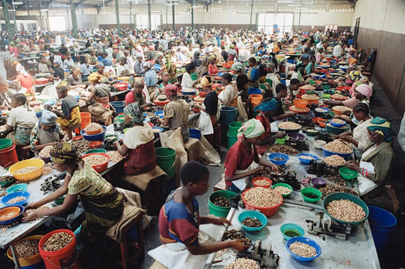Các nhà máy chẻ diều của Tanzania đã sử Dụng Được 70.000 Tấn Hạt Điều Thô Trong Nước - Tanzania Cashew Factory